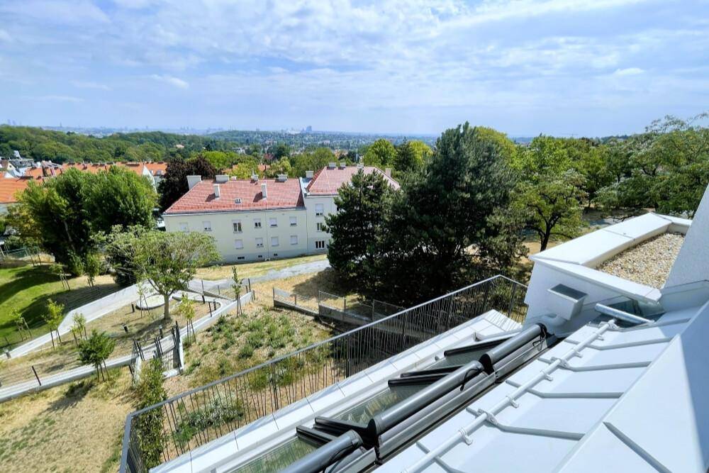 Panoramablick über die grüne Umgebung und die Dächer der umliegenden Gebäude.