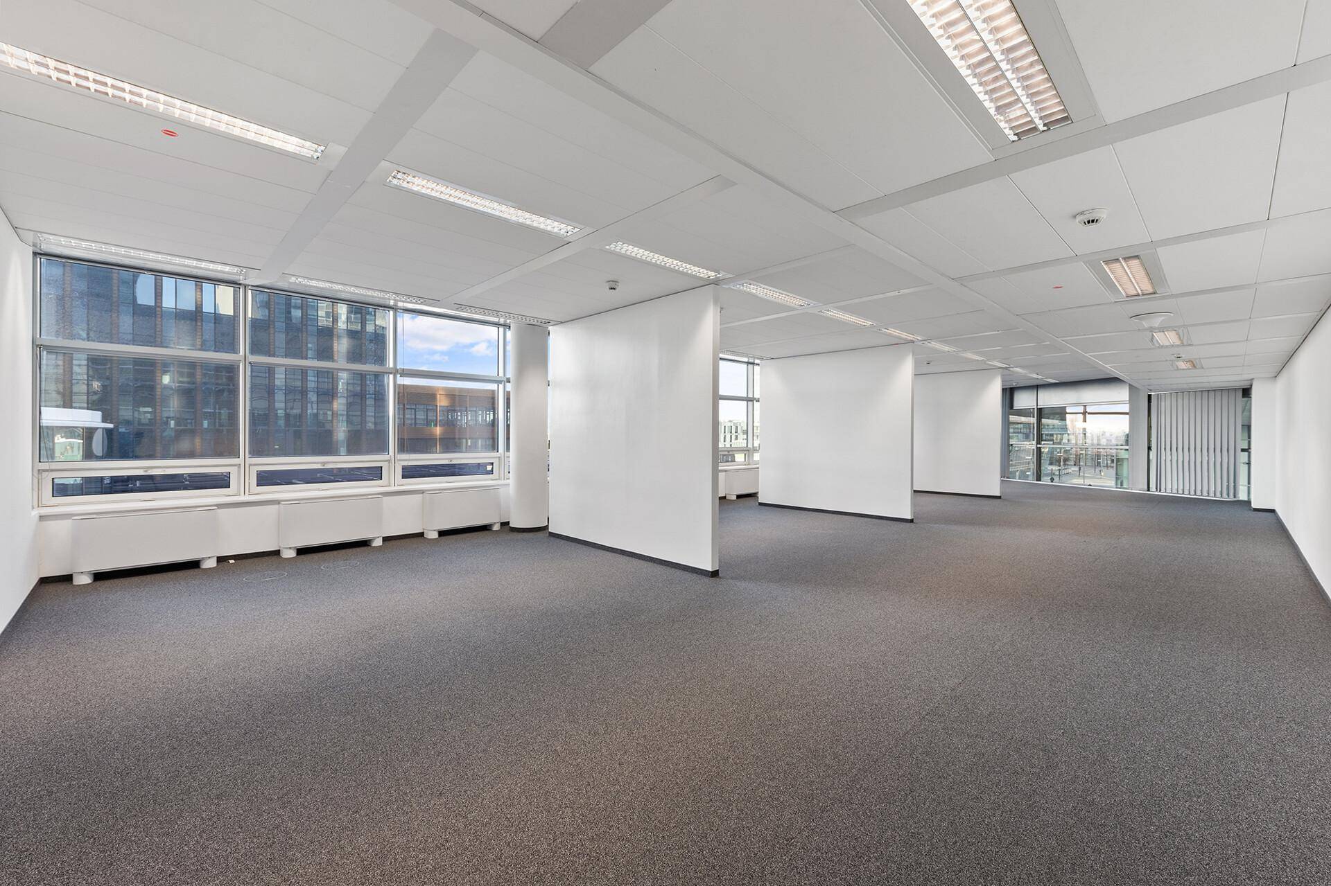 Großes, offenes Büro mit Teppichboden, abgehängter Decke und viel Tageslicht durch die Fensterfront.