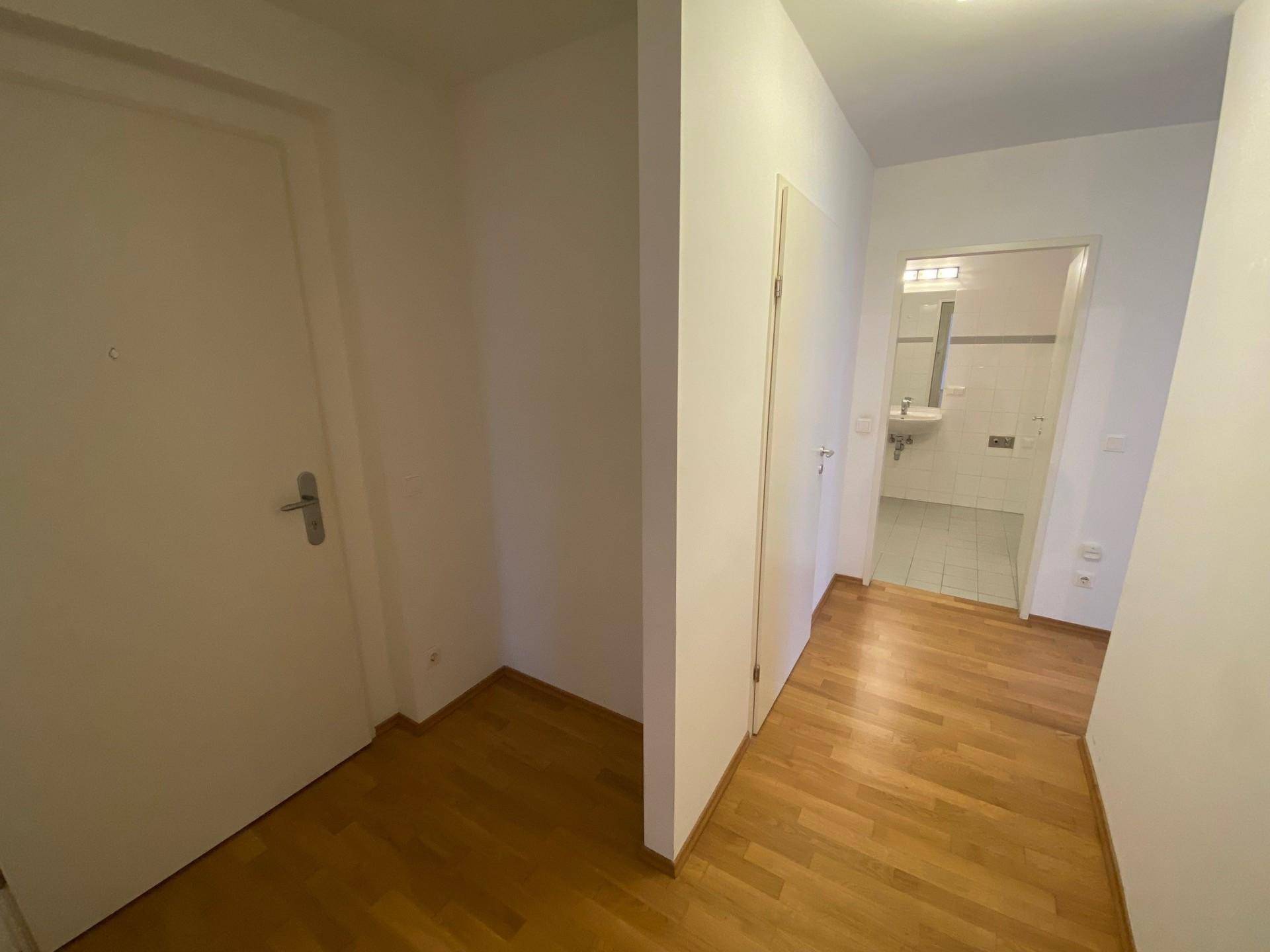 Eingangsbereich und Flur mit Parkettboden und Zugang zum Badezimmer.