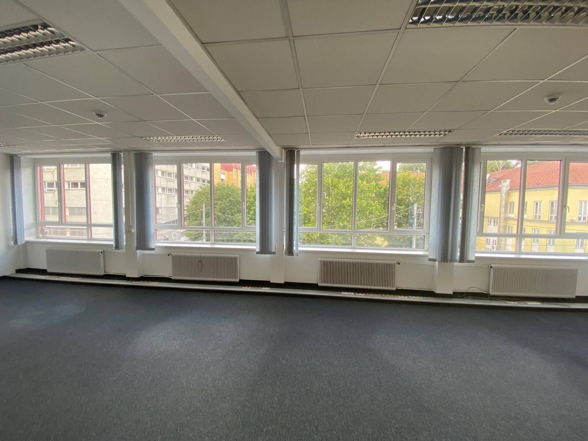Großer, leerer Büroraum mit dunklem Teppichboden und einer Fensterfront mit Blick ins Grüne.
