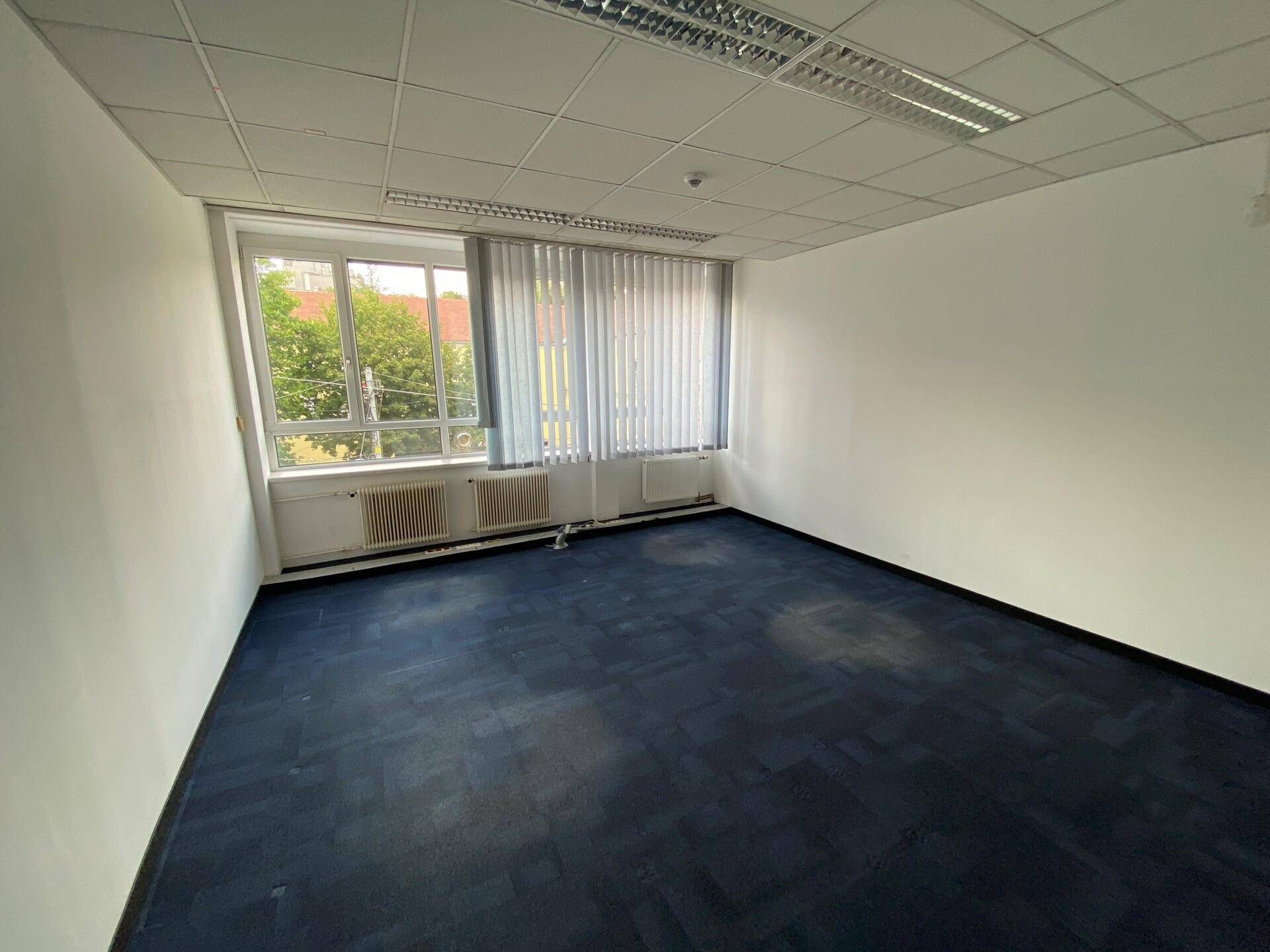 Leerer Büroraum mit dunkelblauem Teppichboden, weißen Wänden und Fenstern mit Blick ins Grüne.