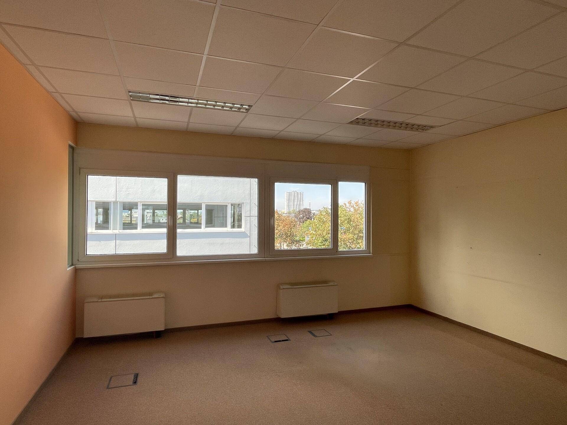 Helles Büro mit Teppichboden und großen Fenstern, die viel Tageslicht hereinlassen, in einem gepflegten Zustand.