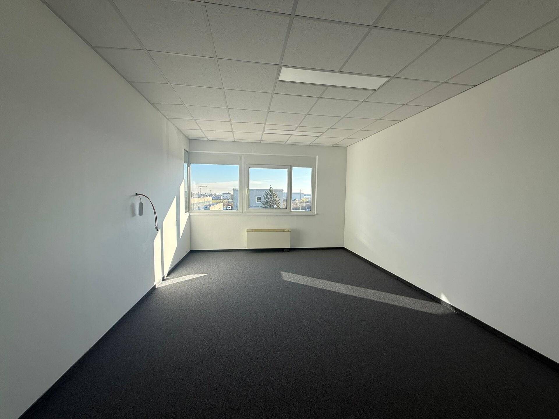 Leerer Büroraum mit Teppichboden, abgehängter Decke und großen Fenstern mit Weitblick.