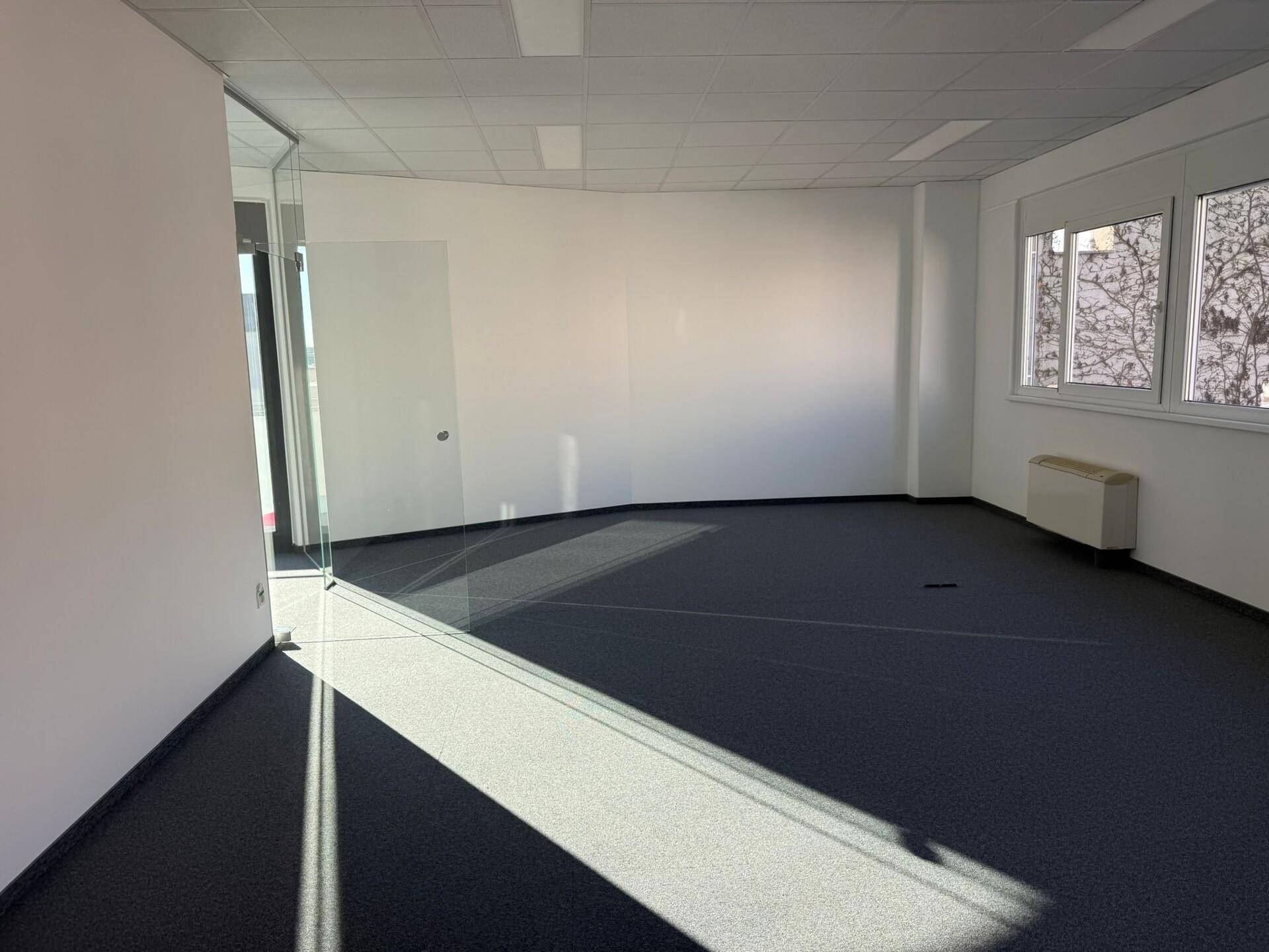 Geräumiges Büro mit dunklem Teppichboden und weißen Wänden, durchflutet von Sonnenlicht, in einem modernen Gebäude.