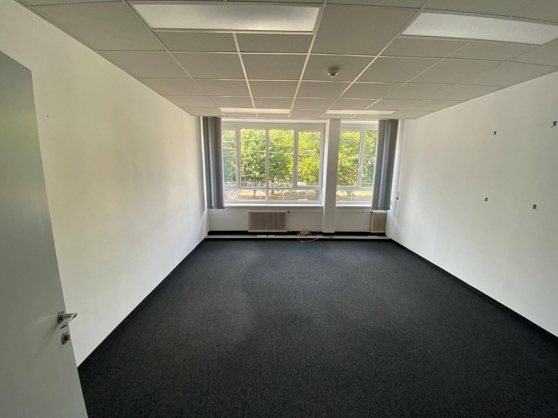 Leerer Büroraum mit dunklem Teppichboden, weißen Wänden und Fenstern mit Blick ins Grüne.