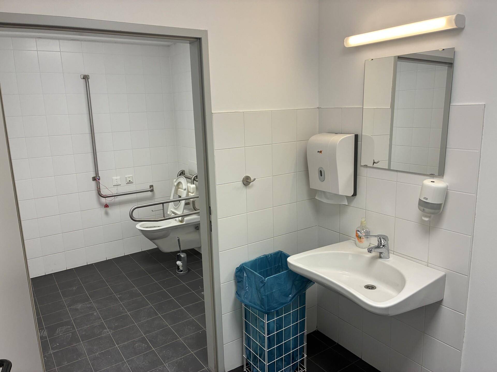 Barrierefreies Badezimmer mit Haltegriffen, wandmontierter Toilette und einem modernen Waschbecken.