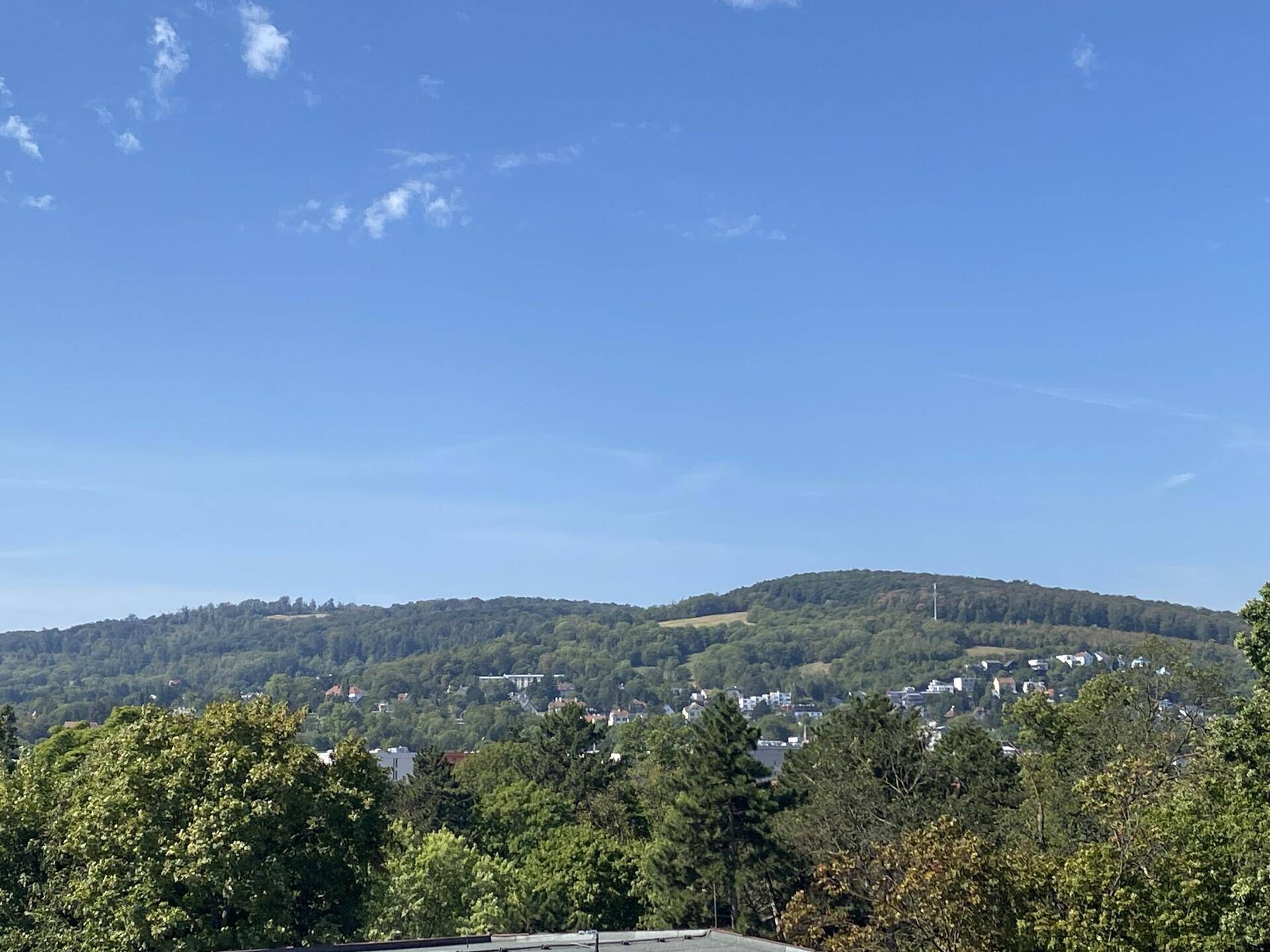 Panoramablick auf grüne Hügel und bewaldete Landschaft unter blauem Himmel.