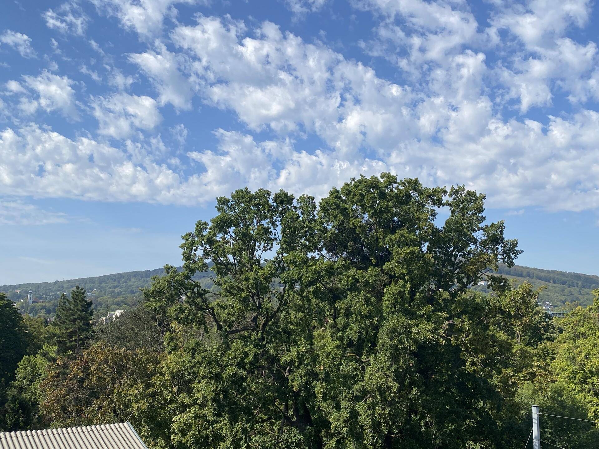 Blick von der Terrasse
