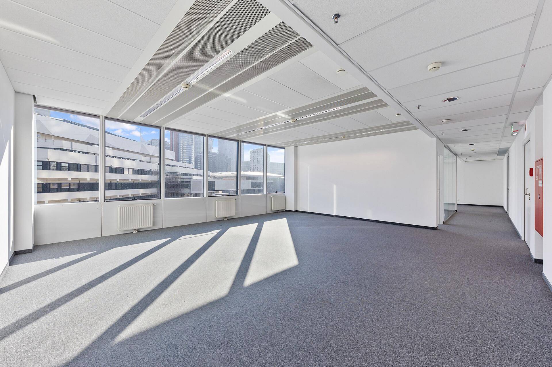 Helles, leeres Büro mit grauem Teppichboden und großen Fenstern, die viel Tageslicht hereinlassen.