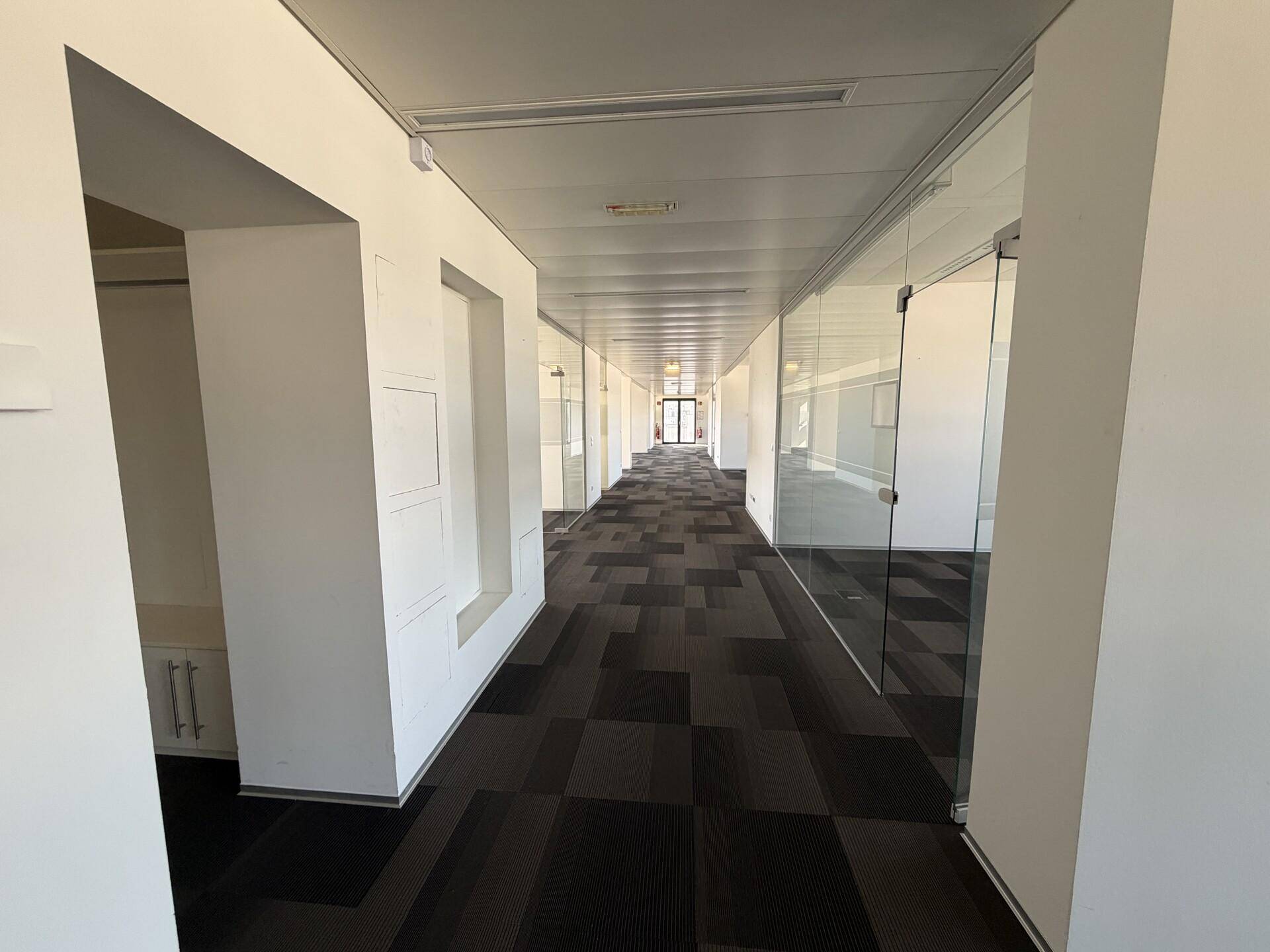 Langer Bürogang mit Teppichboden und Glaswänden, der zu weiteren Büroräumen führt.