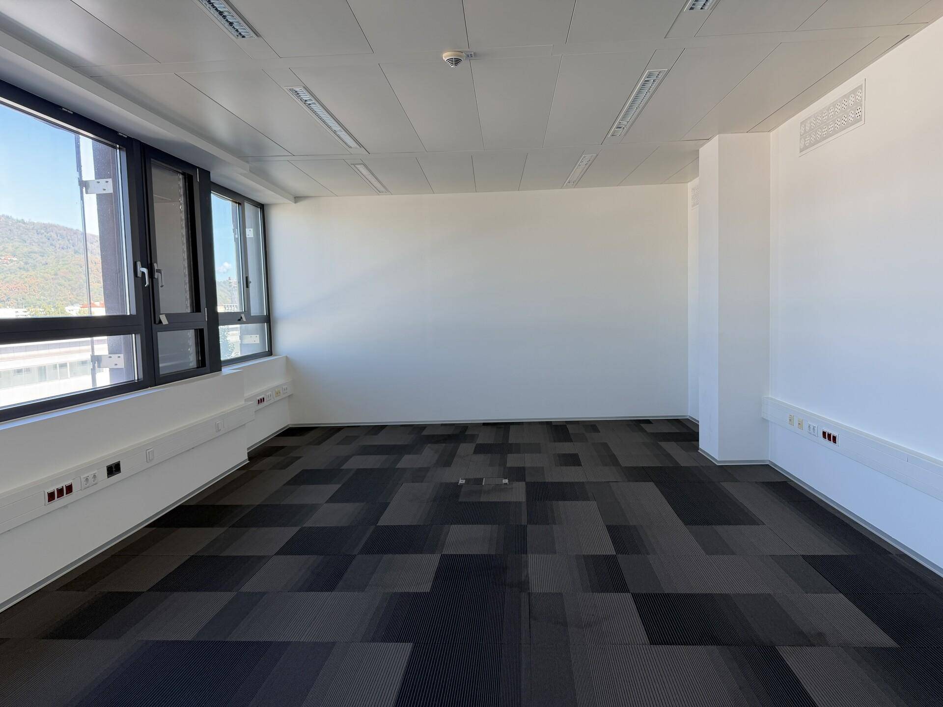 Geräumiges Büro mit Teppichfliesen, weißen Wänden und breiten Fenstern mit Ausblick.