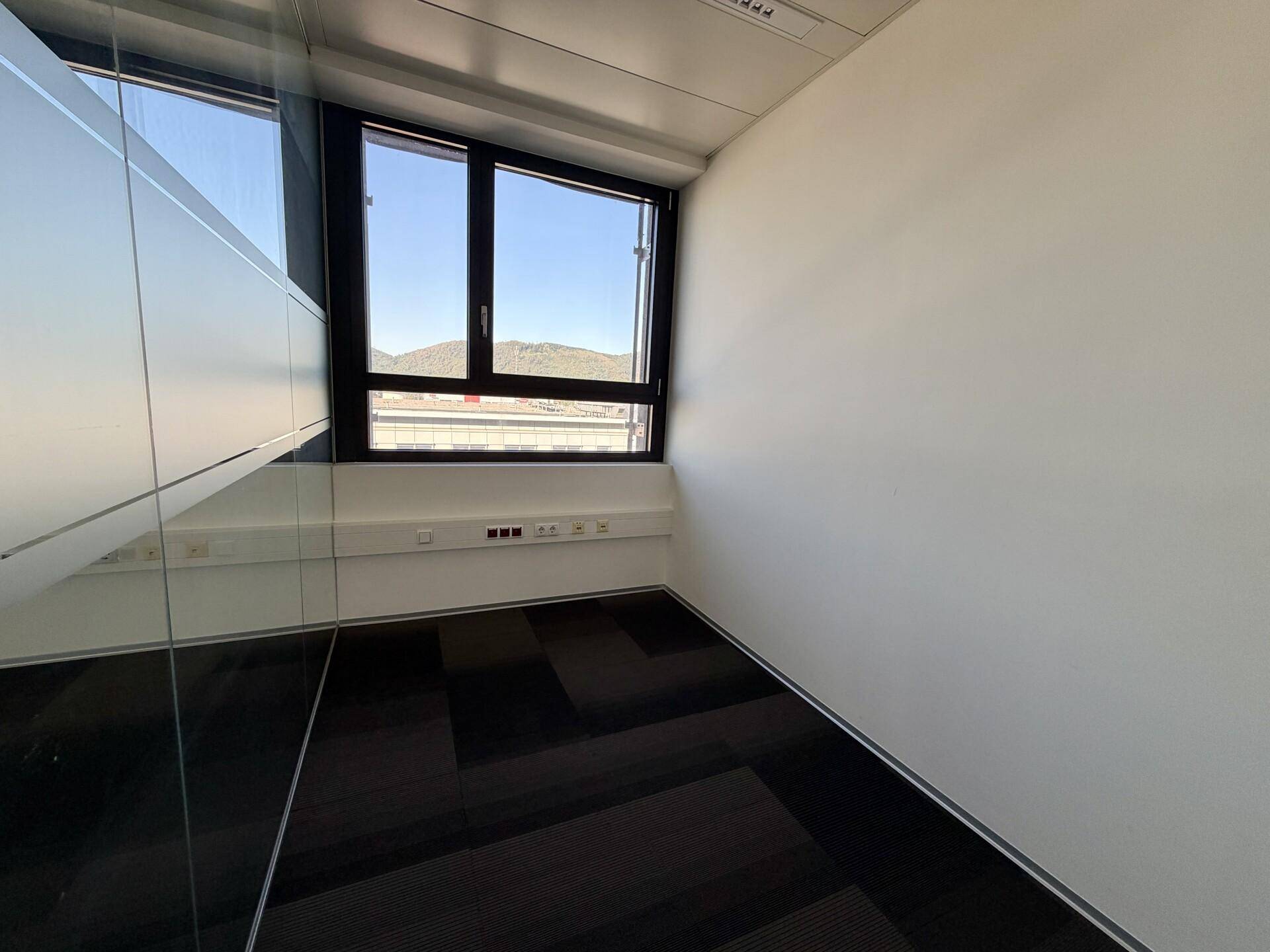 Kleines Einzelbüro mit Teppichboden, Glaswand und Fenster mit Blick auf die Berge.