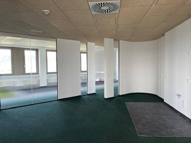 Modernes Büro mit grünem Teppichboden, Glaswänden und einer geschwungenen Trennwand, ideal für offene Konzepte.