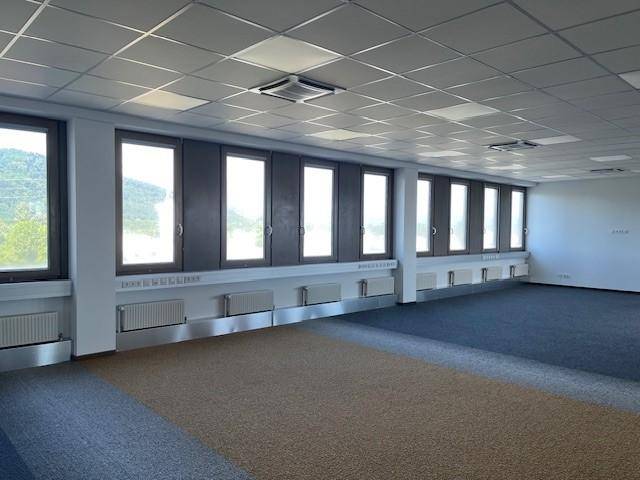 Helles Büro mit Teppichboden, vielen Fenstern und Blick ins Grüne, ideal für eine produktive Arbeitsumgebung.