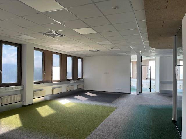 Helles Büro mit mehrfarbigem Teppichboden, großen Fenstern und viel Tageslicht, bereit zur Einrichtung.