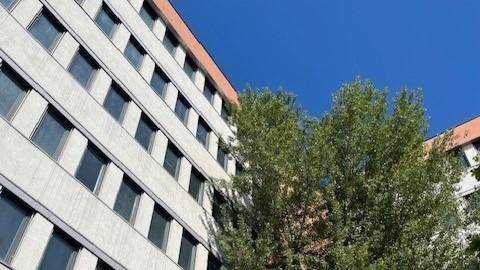 Detailansicht der Gebäudefassade mit vielen Fenstern und einem grünen Baum im Vordergrund unter blauem Himmel.