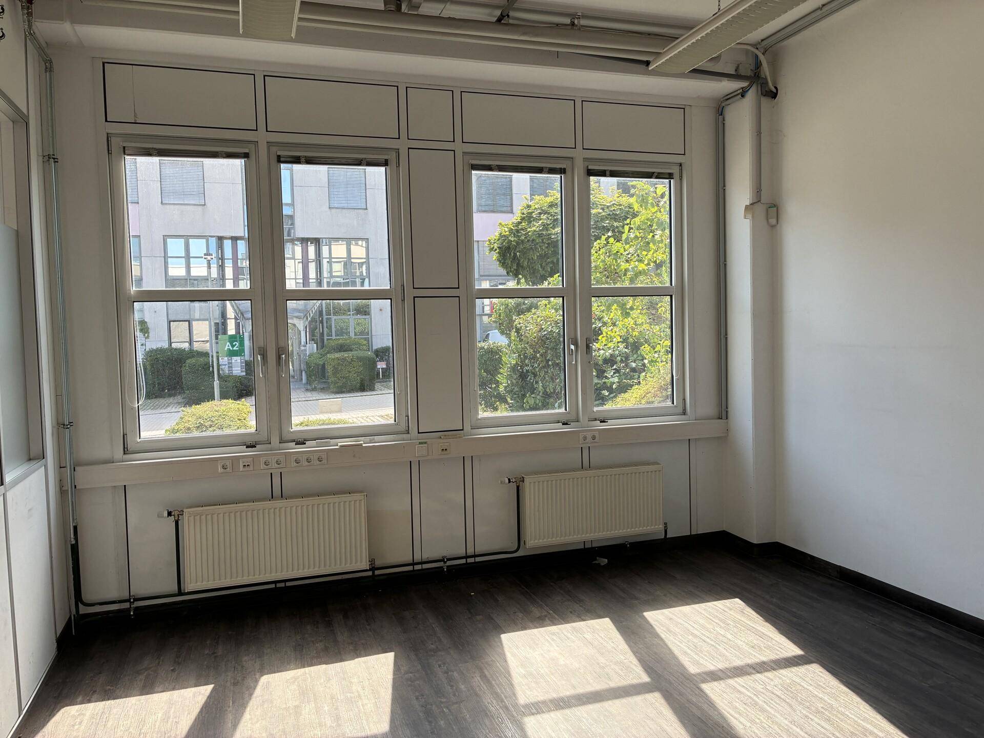 Helles, leeres Büro mit großen Fenstern, Heizkörpern und dunklem Laminatboden, bietet Blick ins Grüne.