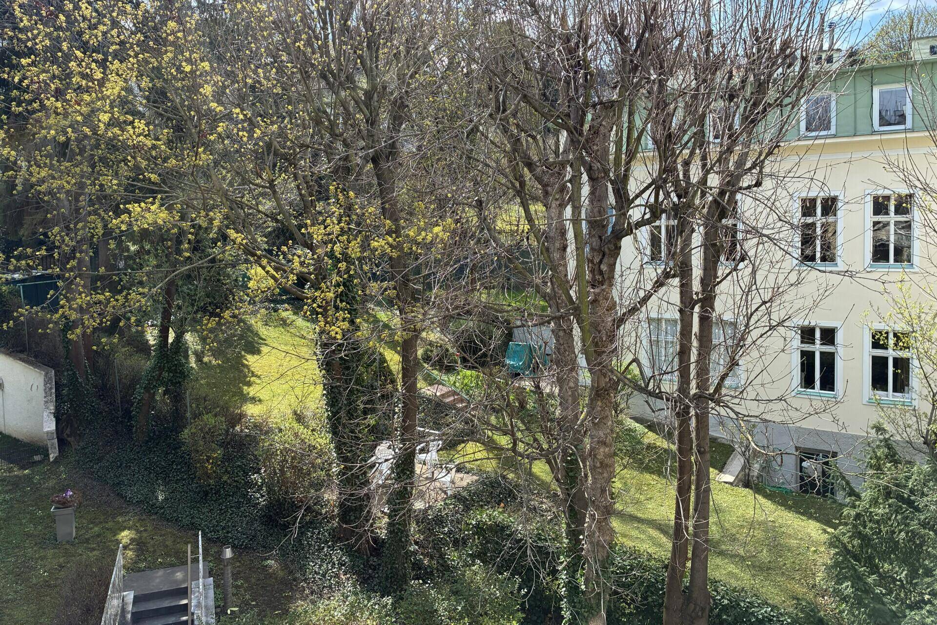 Blick auf den grünen Gartenbereich mit Bäumen und einem angrenzenden Gebäude.
