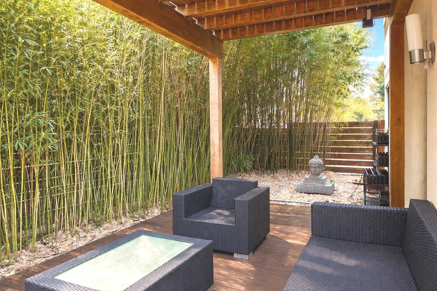 Überdachte Terrasse mit Loungemöbeln und Bambushecke für Privatsphäre.