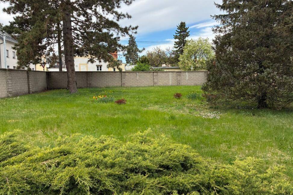 Großer, offener Gartenbereich mit Rasenfläche und einer Mauer im Hintergrund, umgeben von Bäumen.