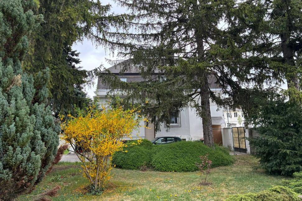 Das Haus ist von hohen Bäumen und Sträuchern umgeben, mit einem gepflegten Gartenbereich.