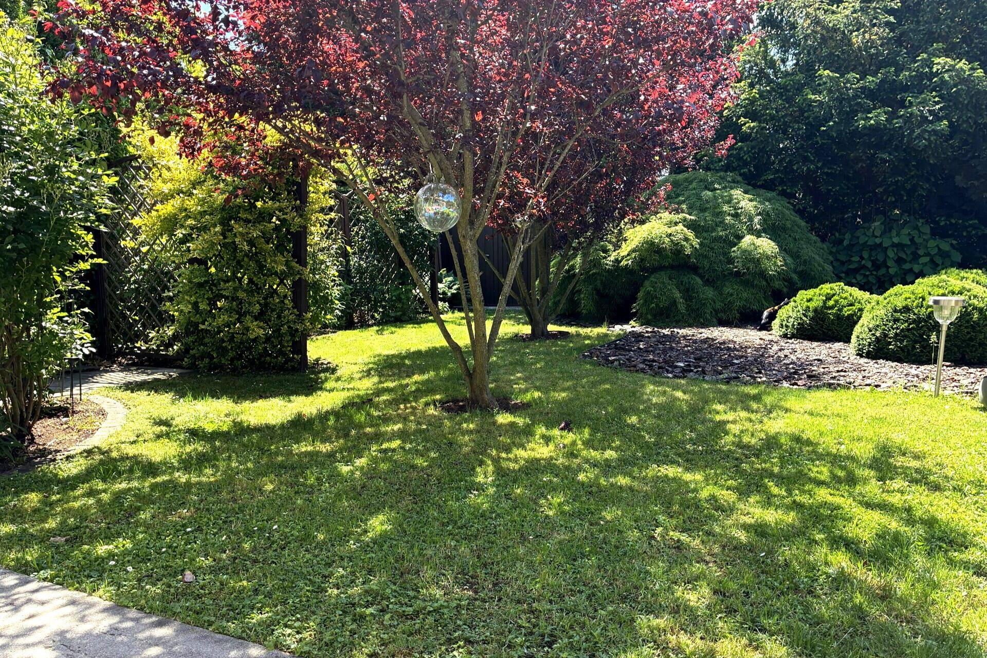 Detailaufnahme eines gepflegten Gartens mit Rasenfläche und einem Baum mit roten Blättern.