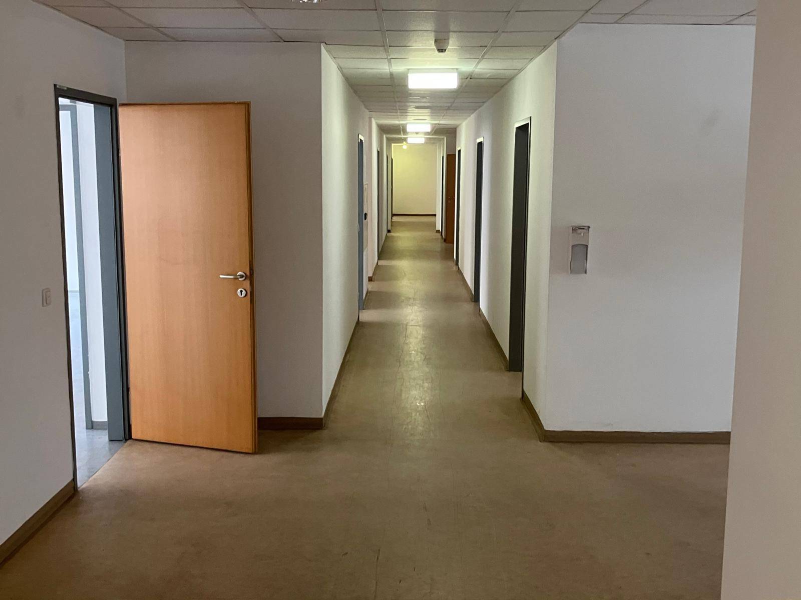 Langer, heller Flur mit mehreren Türen zu Büroräumen und abgehängter Decke.