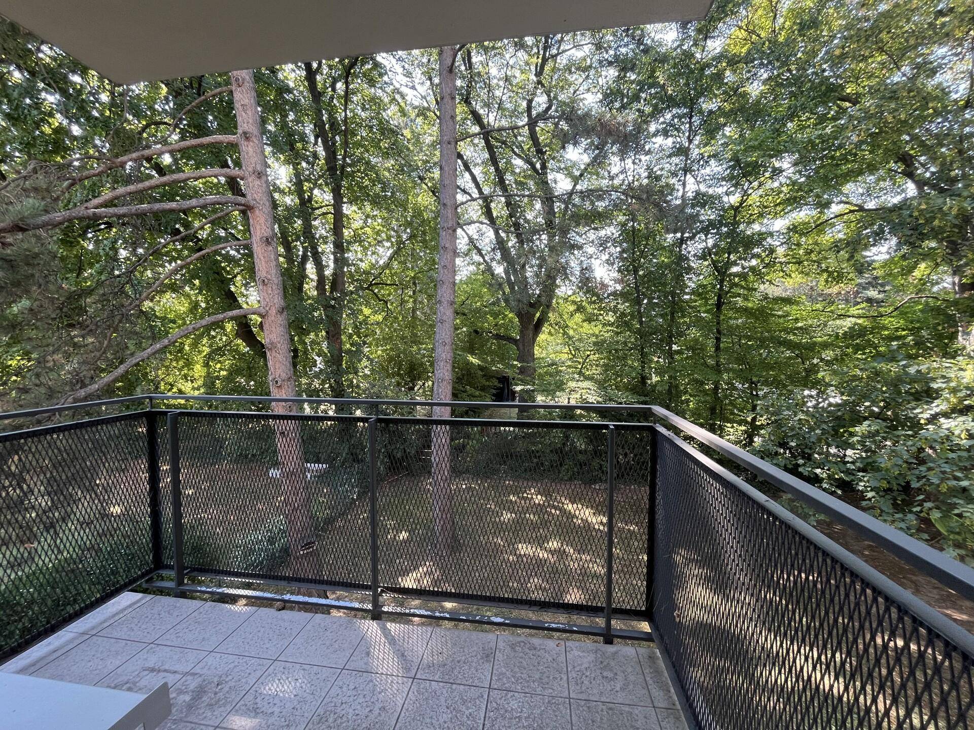 Kleiner Balkon mit Metallgeländer und Blick ins Grüne, umgeben von Bäumen.