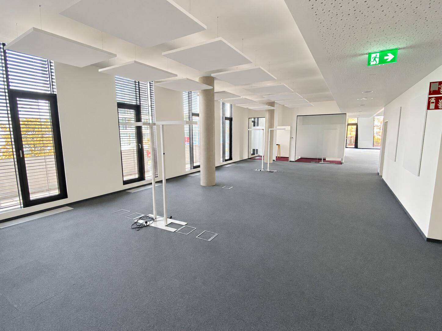 Geräumiger, leerer Raum mit grauem Teppichboden, vielen Fenstern und schallabsorbierenden Deckenplatten.