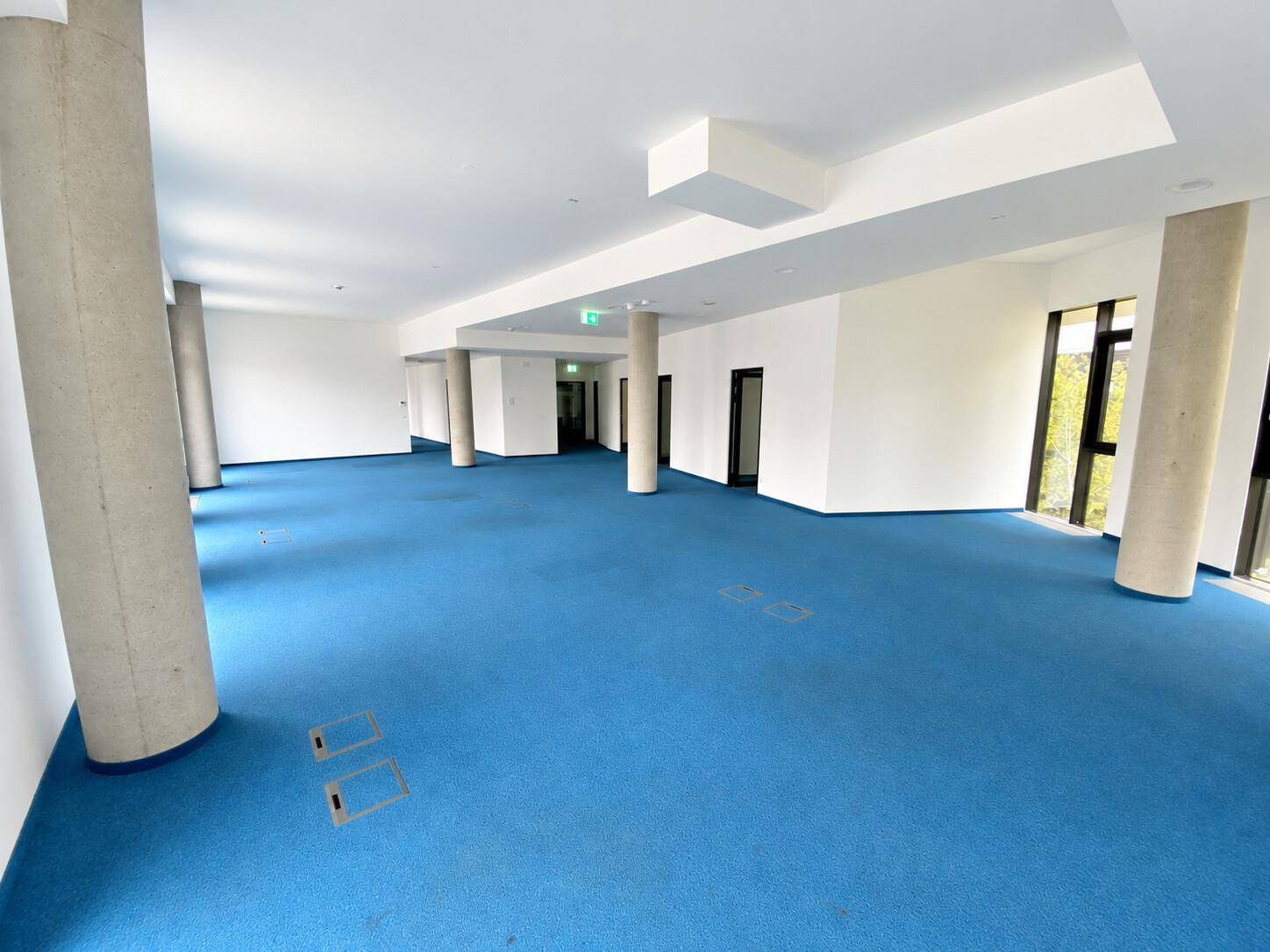 Geräumiger, leerer Büroraum mit blauem Teppichboden, weißen Wänden und markanten Betonsäulen.