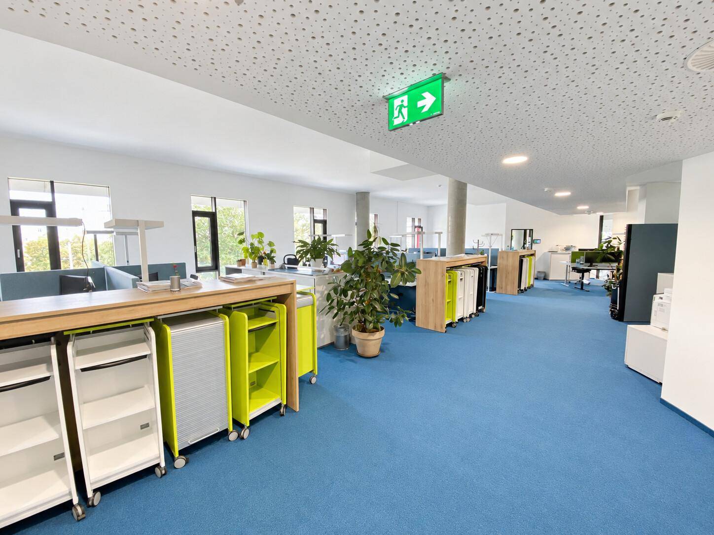 Offener Bürobereich mit blauem Teppichboden, modernen Schreibtischen und Pflanzen für eine angenehme Atmosphäre.