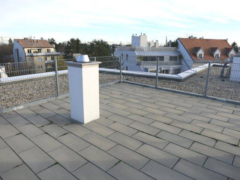 Geräumige Dachterrasse mit Blick auf die umliegenden Dächer und Bäume.