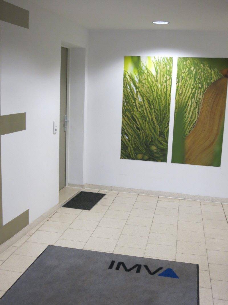 Heller Eingangsbereich mit Fliesenboden und dekorativen Wandbildern.