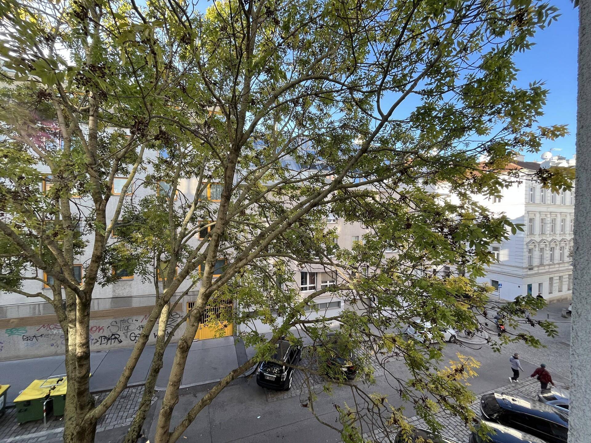 Blick aus dem Fenster auf eine belebte Straße mit Bäumen und umliegenden Gebäuden.