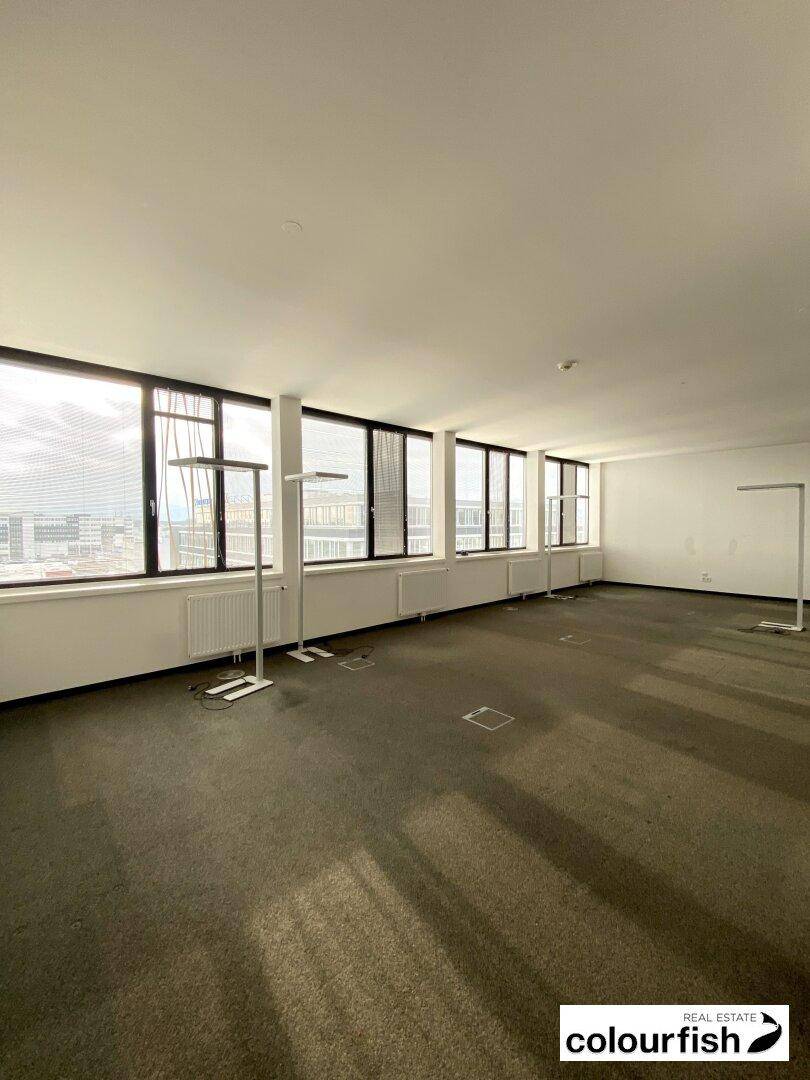 Geräumiger, leerer Büroraum mit Teppichboden und großen Fenstern, die viel Tageslicht hereinlassen und eine weite Aussicht bieten.