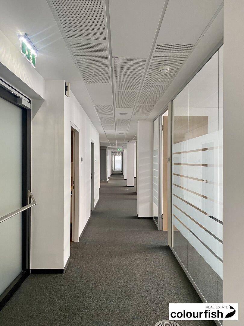 Langer, heller Flur mit Teppichboden, Glastrennwänden und einer abgehängten Decke mit integrierter Beleuchtung.