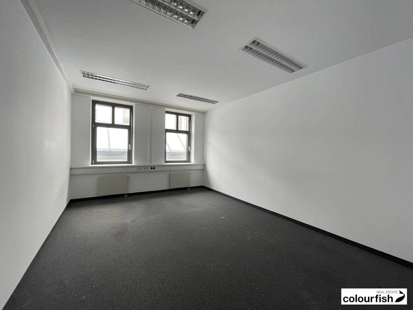Heller Büroraum mit zwei Fenstern, Teppichboden und weiß gestrichenen Wänden, ideal für Arbeitsplätze.
