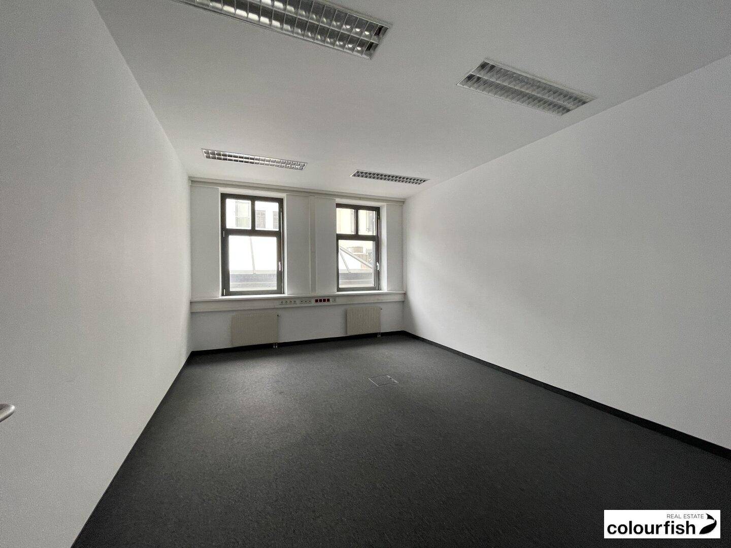 Leerer Büroraum mit dunklem Teppichboden, weißen Wänden und Deckenbeleuchtung, bietet viel Platz.