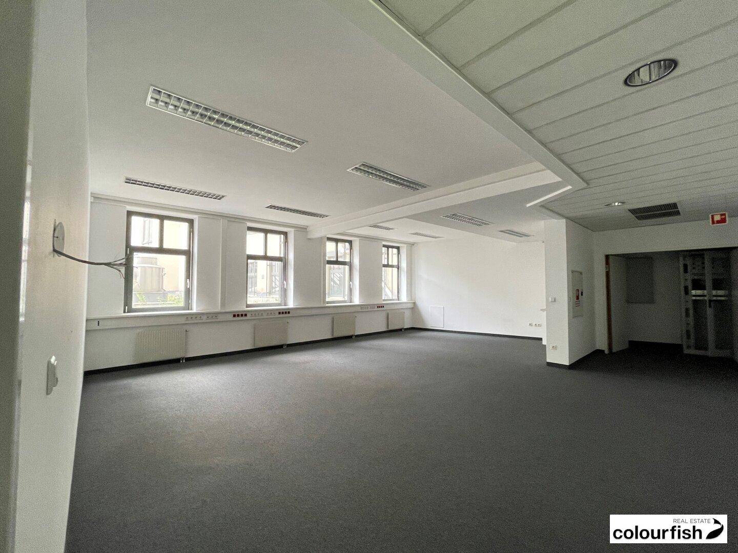 Geräumiges Büro mit mehreren Fenstern, grauem Teppich und moderner Deckenbeleuchtung, sehr hell.