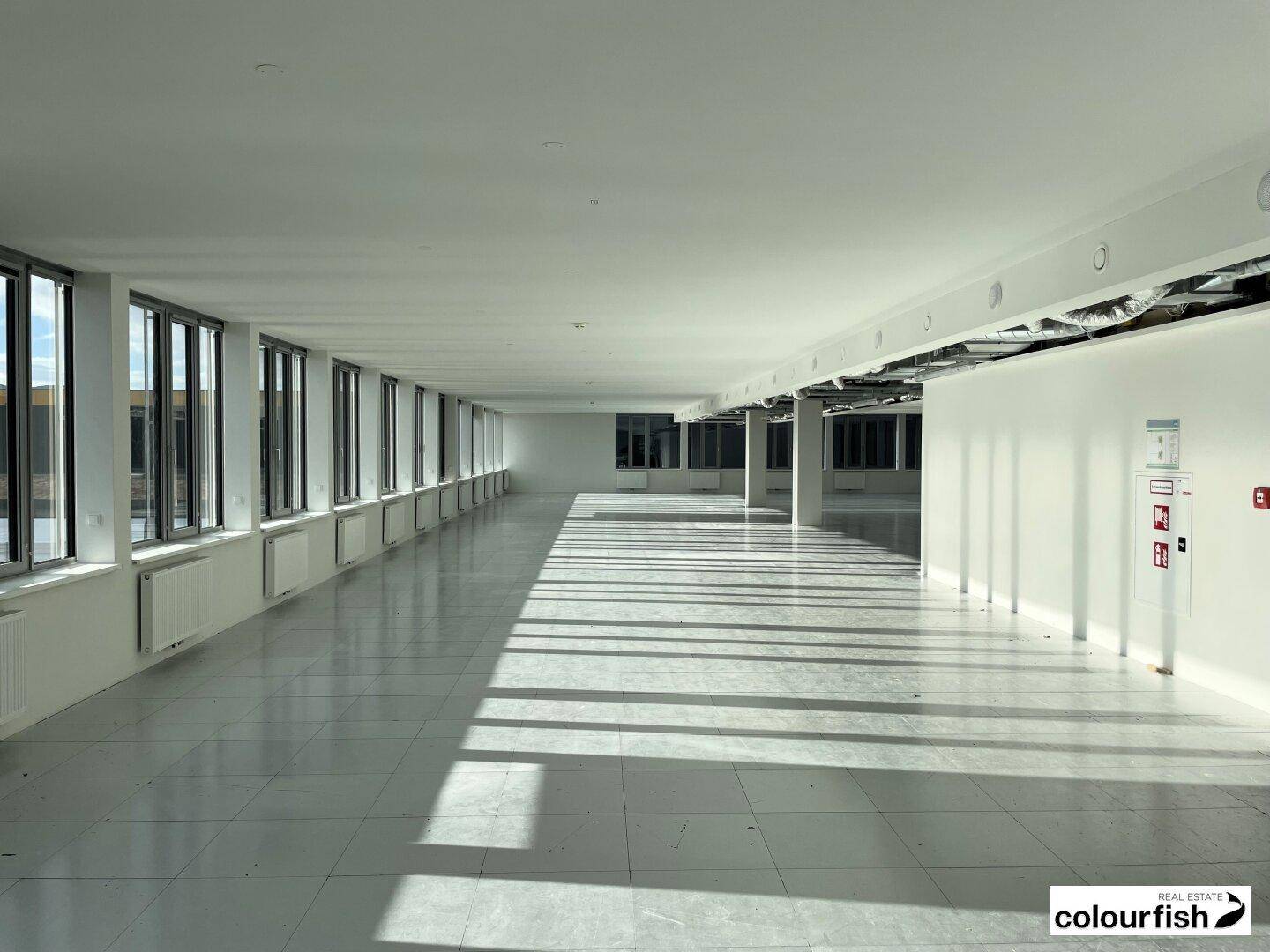 Großer, leerer Büroraum mit vielen Fenstern, Fliesenboden und viel natürlichem Licht.
