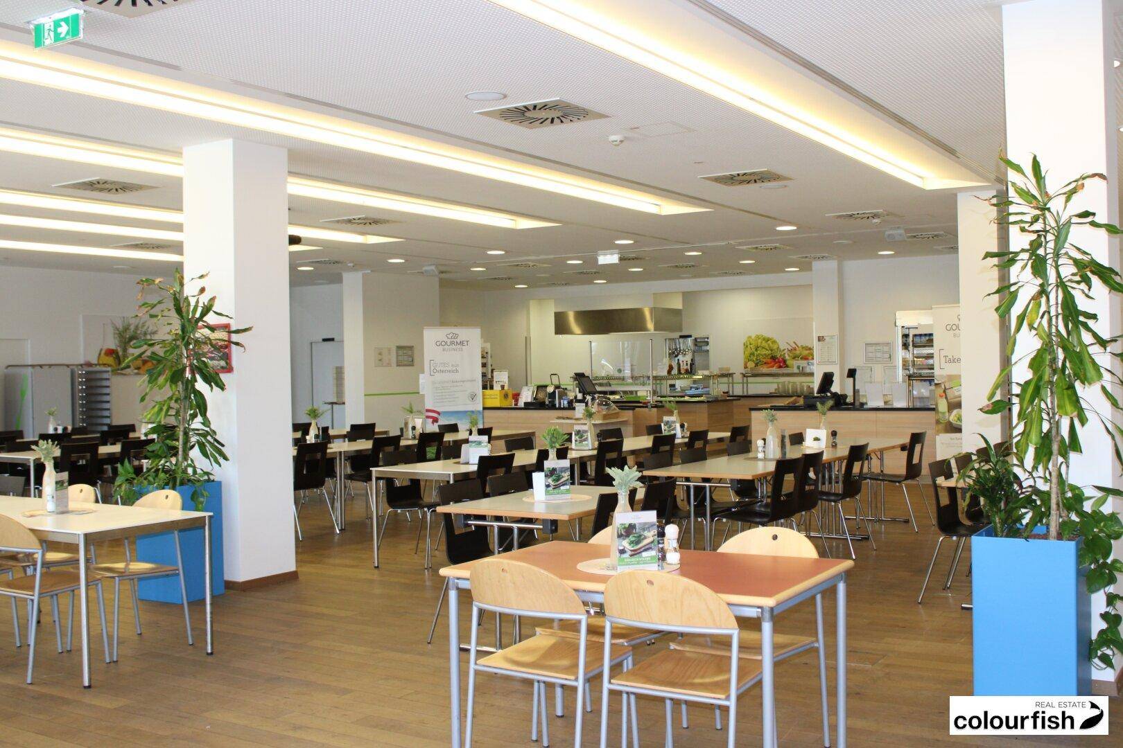 Geräumige Kantine mit vielen Tischen, Stühlen und großen Pflanzen in hellen Farben.