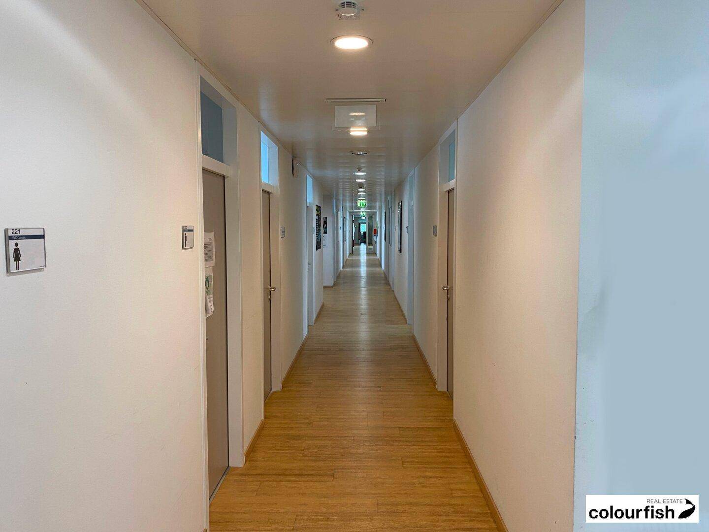 Langer, heller Flur mit mehreren Türen, Deckenbeleuchtung und Holzfußboden.