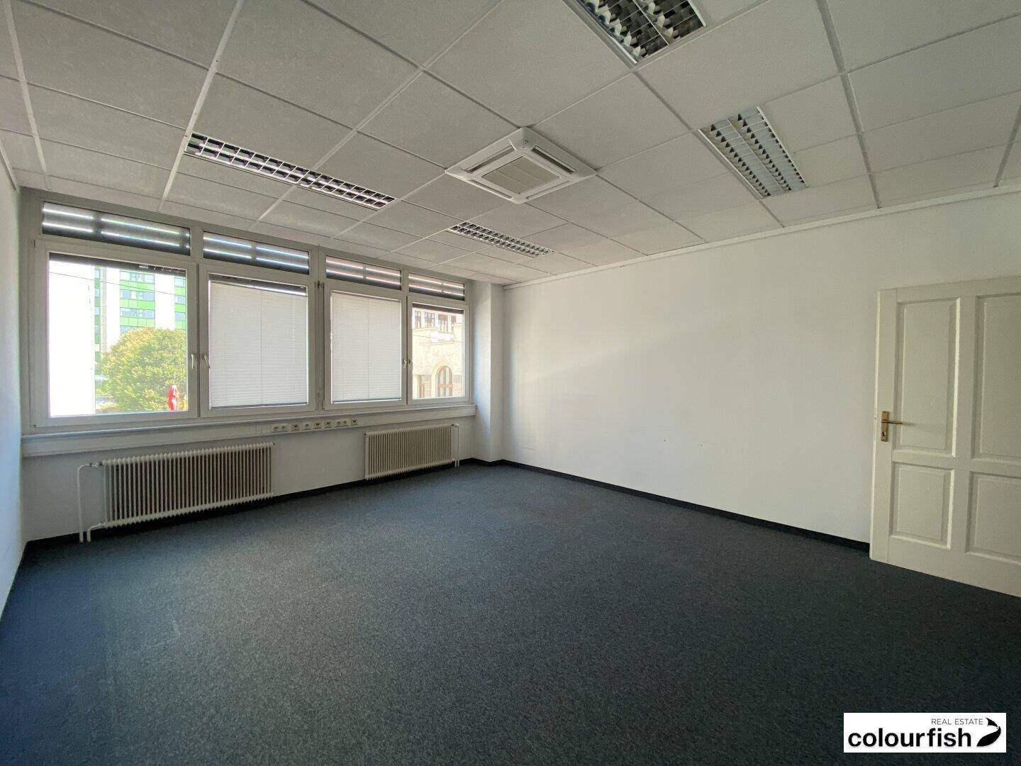 Leeres Büro mit Teppichboden, großen Fenstern und einer weißen Tür.