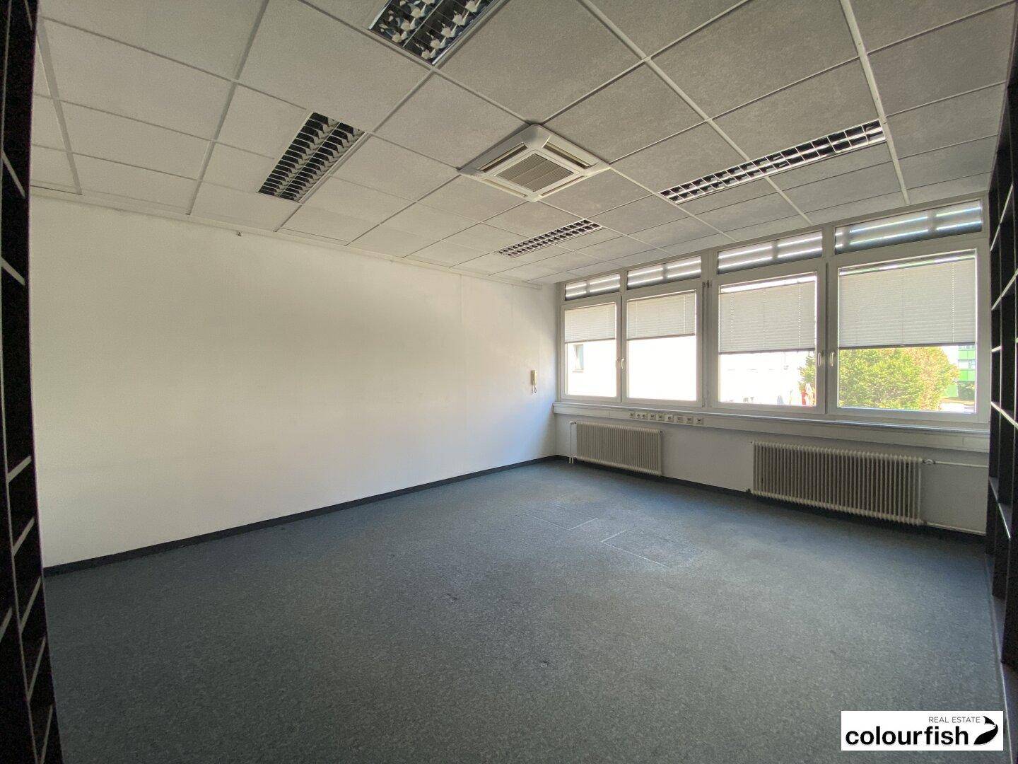 Helles, leeres Büro mit Teppichboden, Fenstern mit Jalousien und Deckenbeleuchtung.