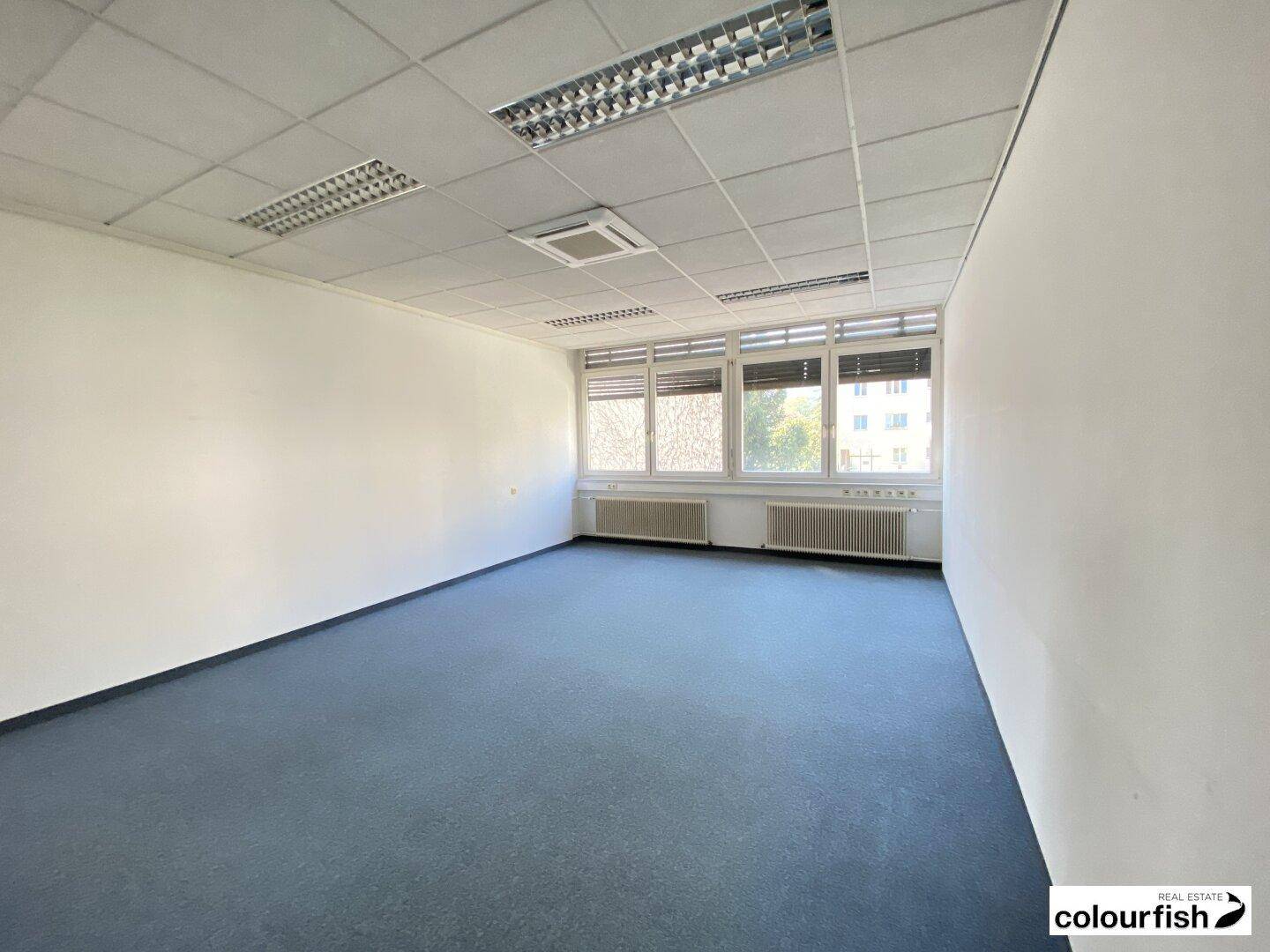 Geräumiges, leeres Büro mit blauem Teppichboden und vielen Fenstern für Tageslicht.