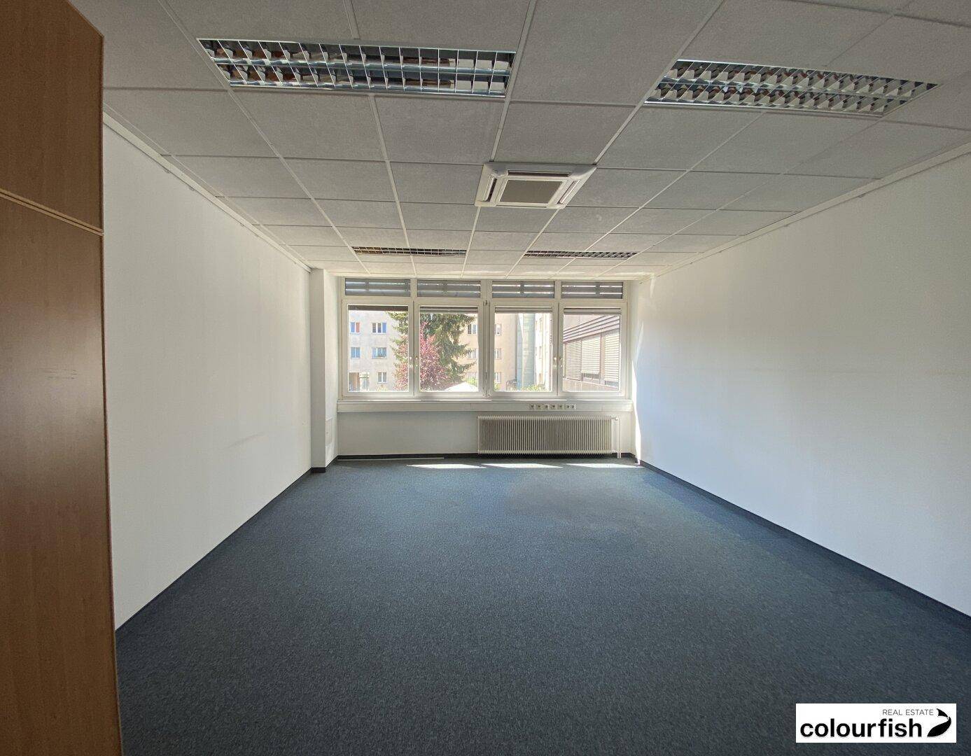 Leeres Büro mit Teppichboden, weißen Wänden und Fenstern mit Blick nach draußen.