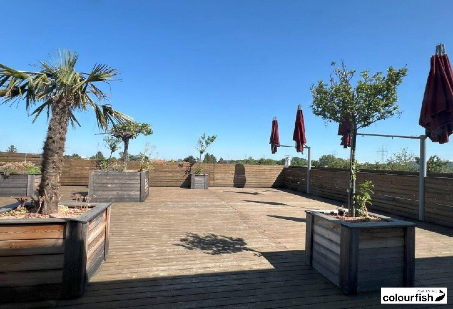 Geräumige Holzterrasse mit Pflanzen in Holzkübeln und Sonnenschirmen unter blauem Himmel.