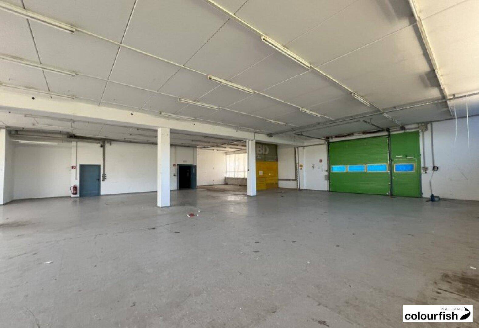Große Lagerhalle mit Betonboden, Stützpfeilern und grünen Rolltoren am Ende des Raumes.