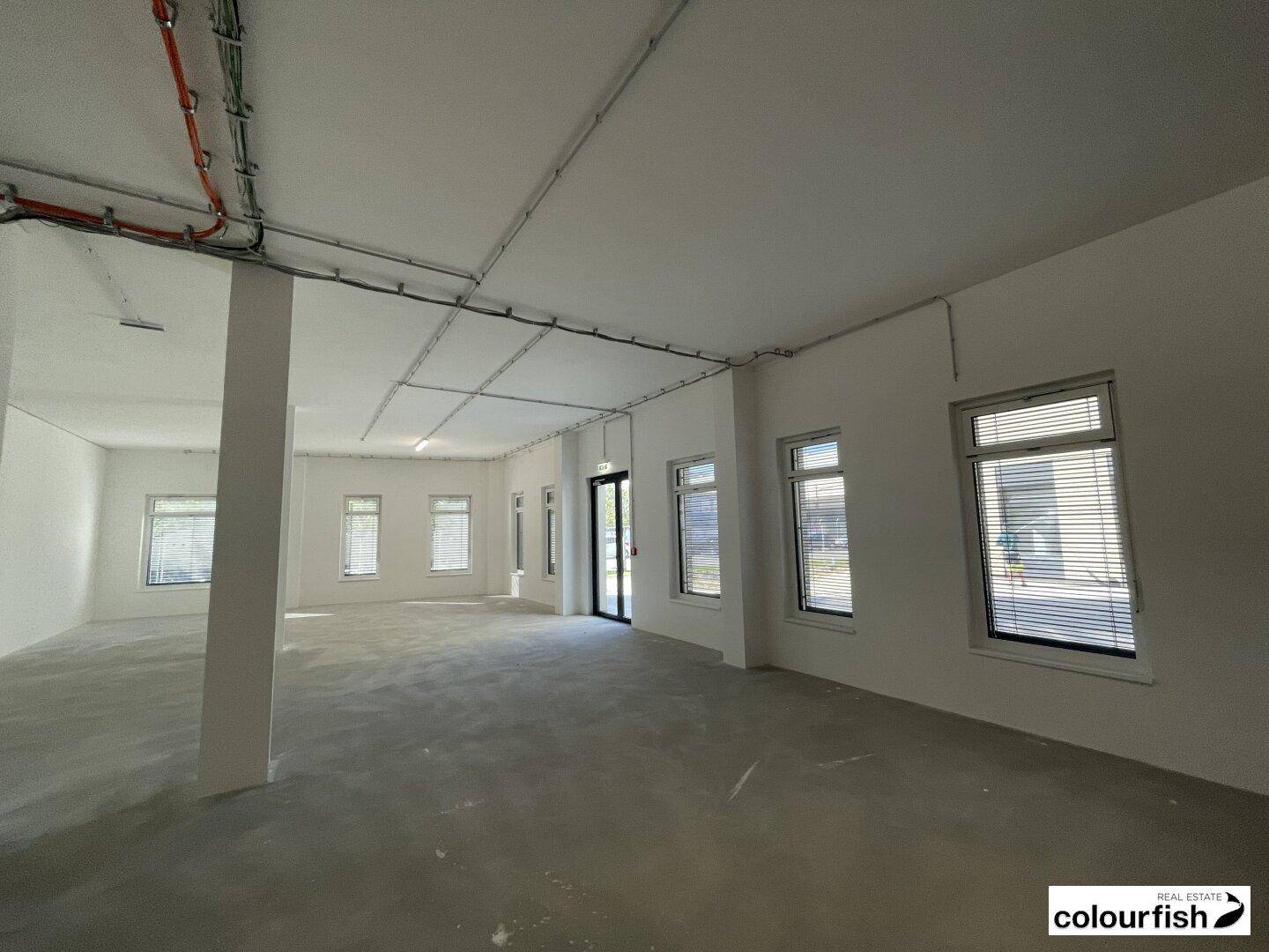 Großer, leerer Gewerberaum mit vielen Fenstern, freiliegenden Leitungen und Betonboden, bereit für den Ausbau.