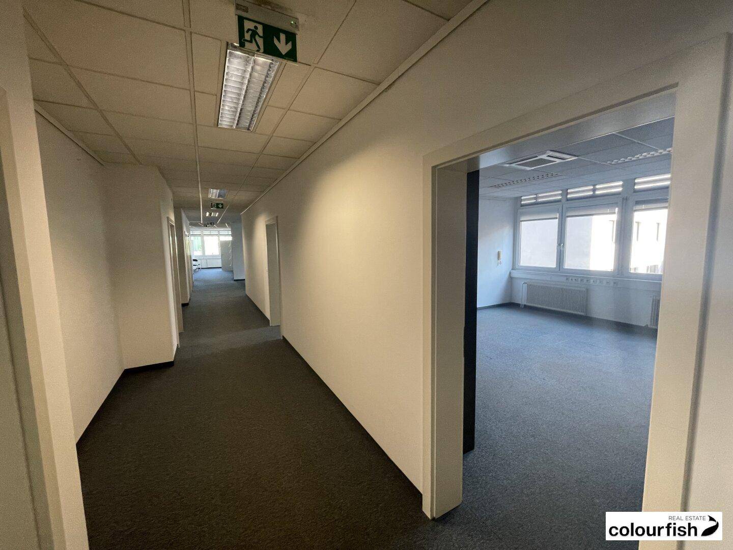 Langer Büroflur mit Teppichboden, Deckenbeleuchtung und Türen zu den Büroräumen.